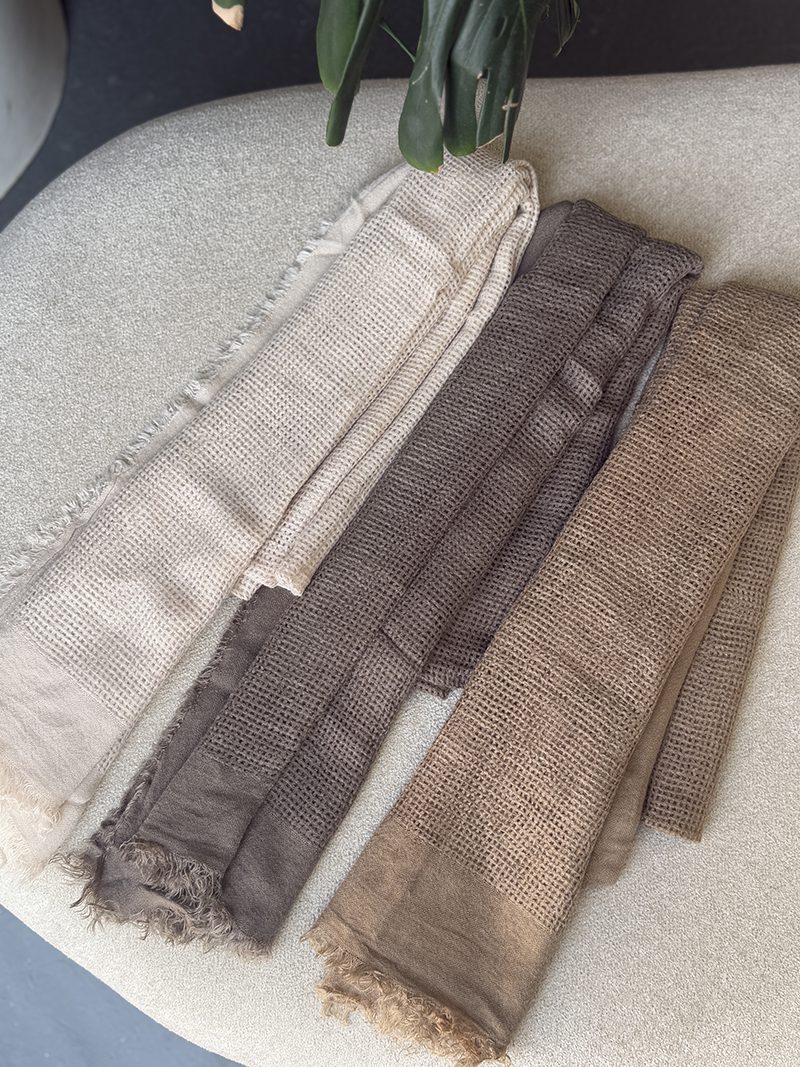 IMG_6591 copy پالما کد ۸۳۱ - Image 2