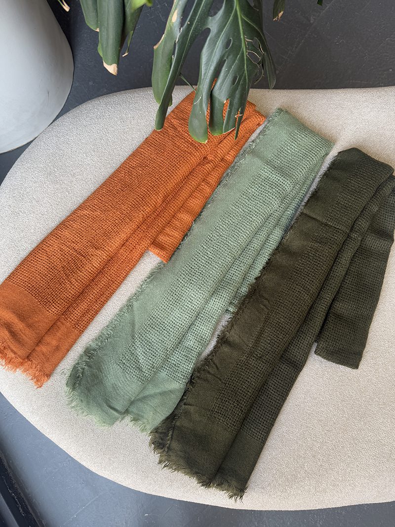 IMG_6594 copy پالما کد ۸۳۱ - Image 4